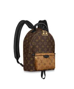 Louis Vuitton PALM SPRINGS PM